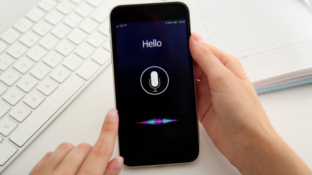 Voice search optimization