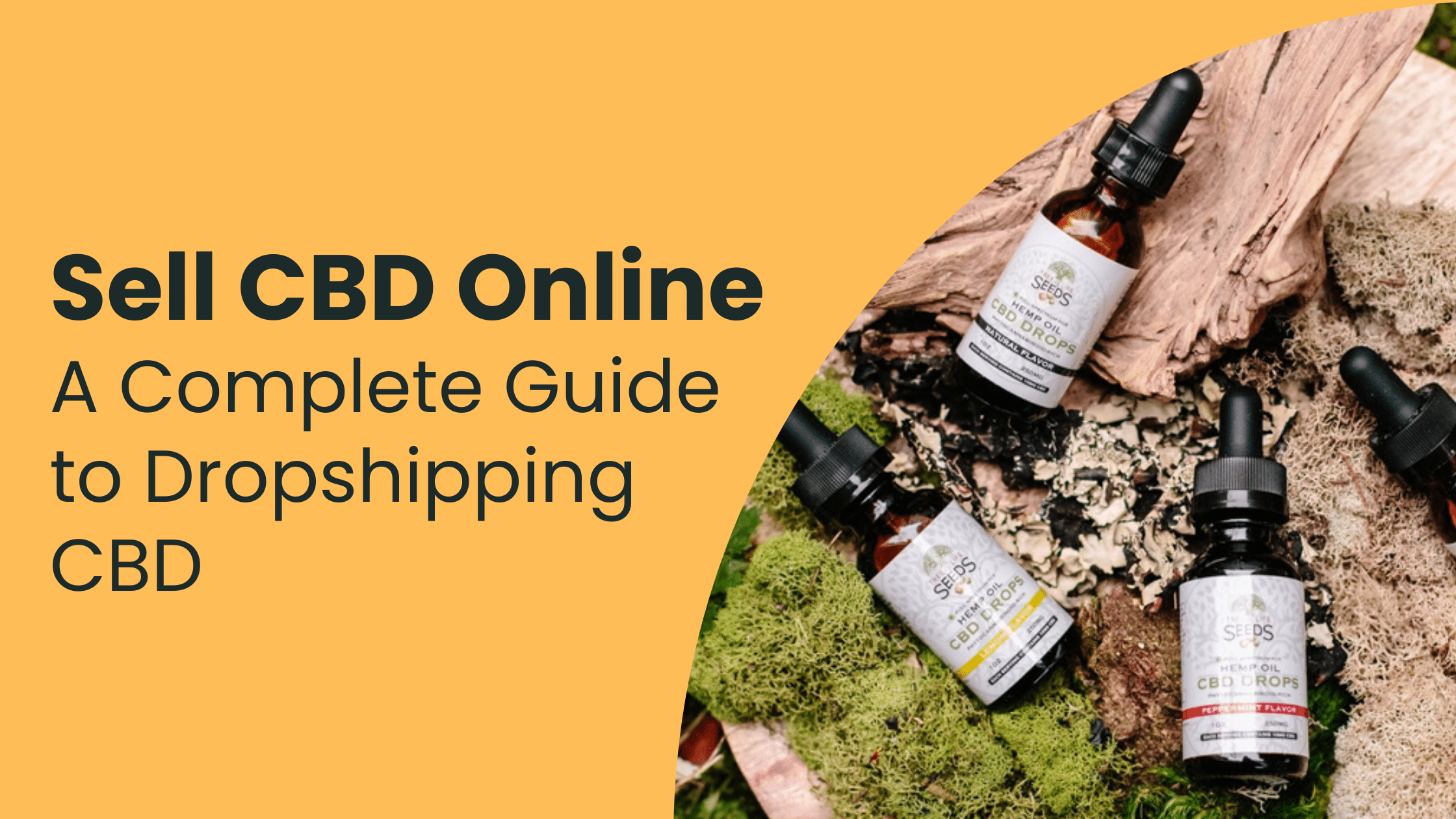 cbd vape dropship CBD Dropshipping 2026 Guide: Legality, Regulations, How To Start main image 1