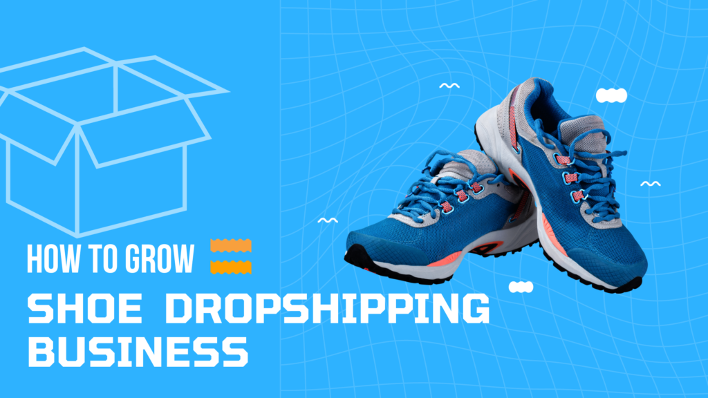 Shoe Dropshipping Business