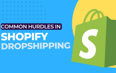 shopify dropshipping challenges