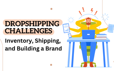 Dropshipping Challenges