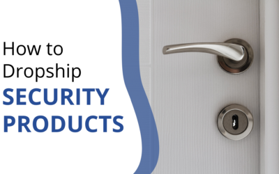 Security Products dropshipping