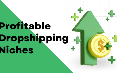 Profitable Dropshipping Niches