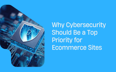 Cybersecurity for ecommerce websites