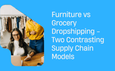Furniture vs Grocery Dropshipping