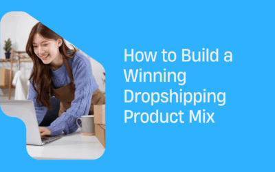 Winning Dropshipping Product Mix