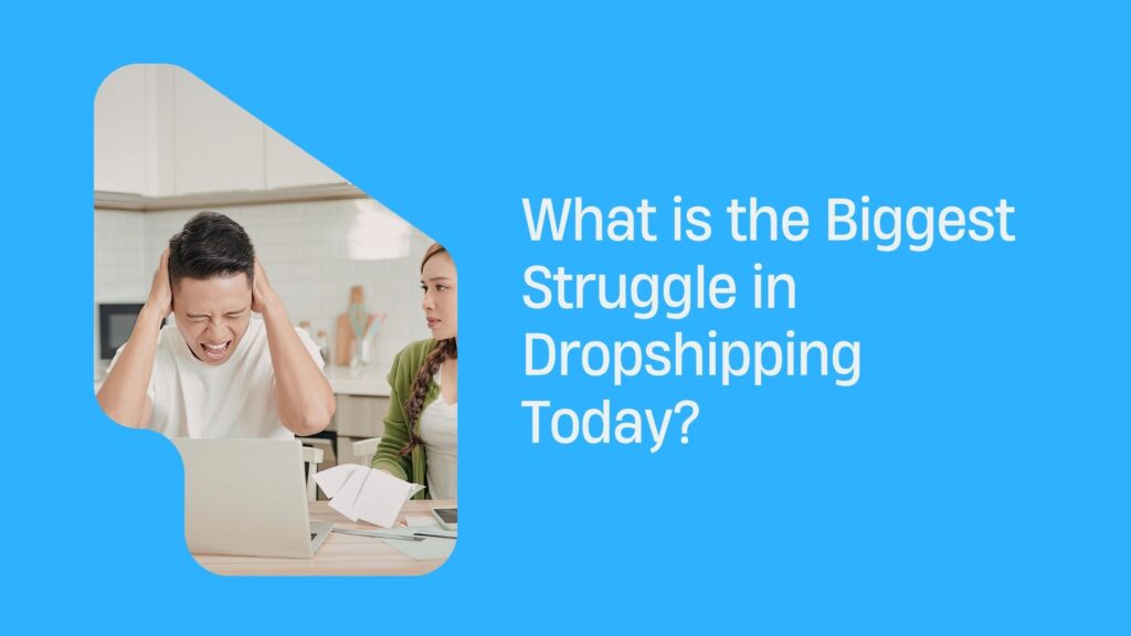 Dropshipping struggle