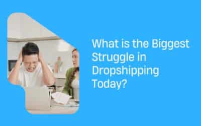 Dropshipping struggle
